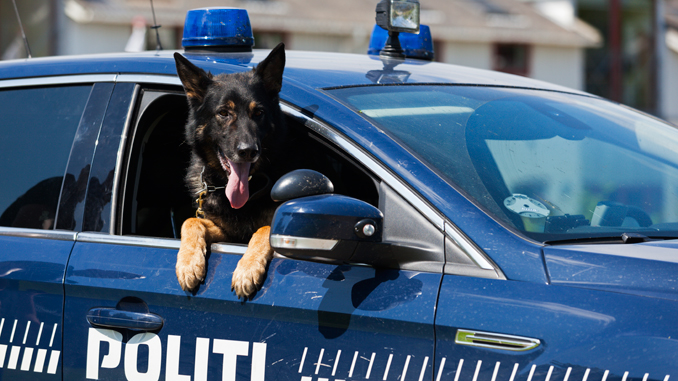Politi – Hund BeredskabsInfo